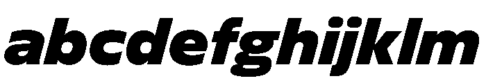 FLScienceSans DarkItalic FONT
