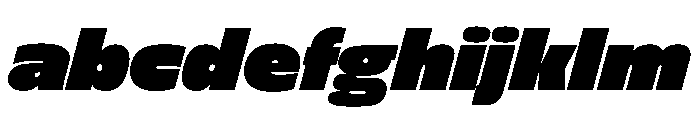 FLScienceSans DenseItalic FONT