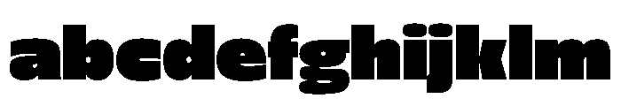 FLScienceSans Dense FONT