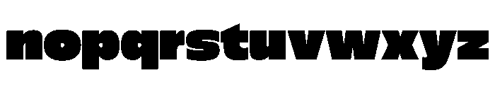 FLScienceSans Dense Font LOWERCASE