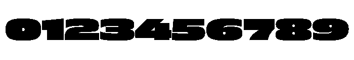FLScienceSans GrandDense 95935305 Font OTHER CHARS