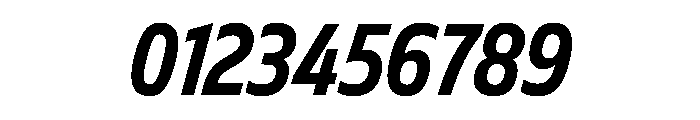 FLScienceSans NarrowBoldItalic Font OTHER CHARS