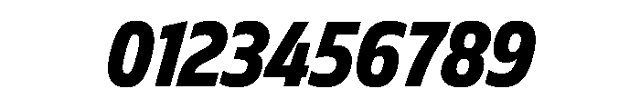 FLScienceSans NarrowDarkItalic Font OTHER CHARS