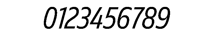 FLScienceSans NarrowRegularItalic Font OTHER CHARS