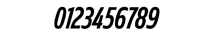 FLScienceSans TightBoldItalic Font OTHER CHARS