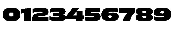 FLScienceSans WideBlack 9e025b80 Font OTHER CHARS