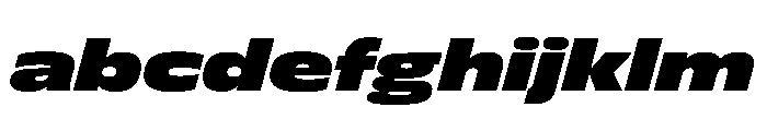 FLScienceSans WideBlackItalic 029ce532 FONT