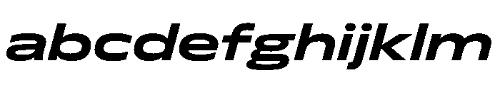 FLScienceSans WideBoldItalic De89a389 FONT