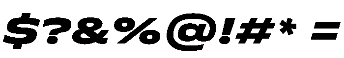FLScienceSans WideDarkItalic Afb2c422 Font OTHER CHARS