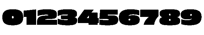 FLScienceSans WideDense 1e372821 Font OTHER CHARS
