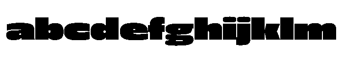 FLScienceSans WideDense 1e372821 FONT