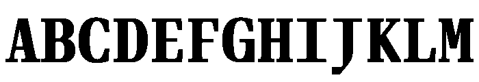 Fleya Mono Bold Font UPPERCASE