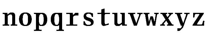 Fleya Mono Medium Font LOWERCASE