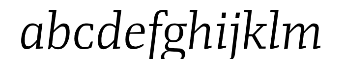 FM Light Italic Font LOWERCASE