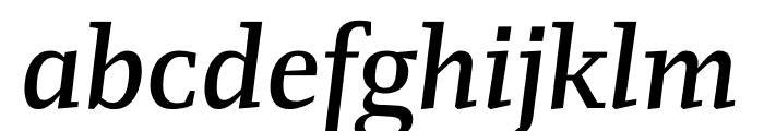 FM Medium Italic Font LOWERCASE