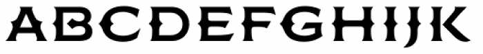 FMBolyar Ornate Pro 700 Font LOWERCASE