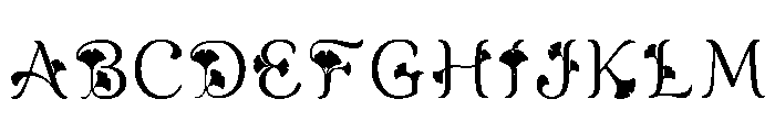 Foamy Regular FONT