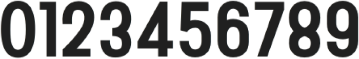 Fox Rivea otf (400) Font OTHER CHARS