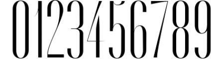 FONT BUNDLE - Over 80 professional fonts 33 Font OTHER CHARS
