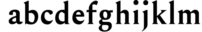 FONT BUNDLE - Over 80 professional fonts 36 Font LOWERCASE