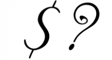 Fosshira Script Font OTHER CHARS
