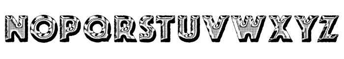 FOODCAN PERSONAL USE Bold Font LOWERCASE