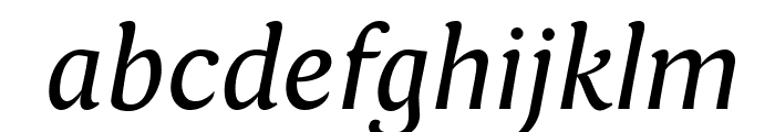 Fontin Italic Font LOWERCASE