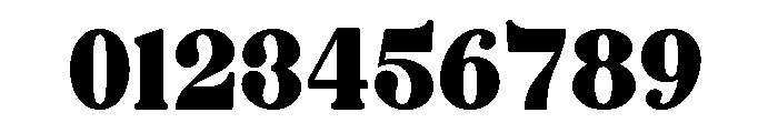 Forest Realm Font OTHER CHARS