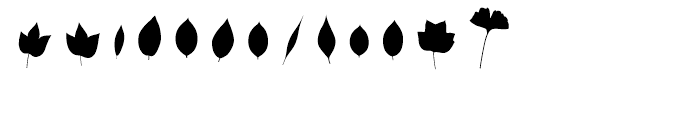 Fontfoliae Regular Font LOWERCASE