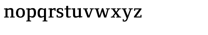 Foundry Form Serif Demi Font LOWERCASE