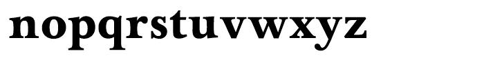 Foundry Wilson Bold Font LOWERCASE