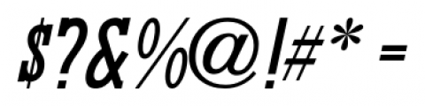 Fordham JNL Oblique Font OTHER CHARS