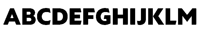 Foliant Sans Modern Black Font UPPERCASE