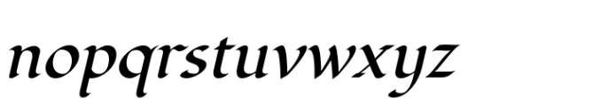 Fondamento Pro Italic Font LOWERCASE