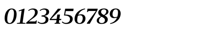 Foreday Serif Bold Italic Font OTHER CHARS