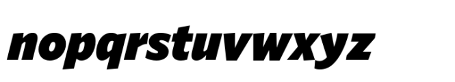 Forley Display XBlk Italic Font LOWERCASE