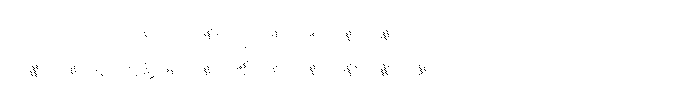 Fox Amoria Strokes Strokes FONT