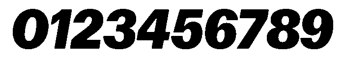 Focal Extrabold Italic Font OTHER CHARS