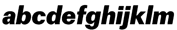 Focal Extrabold Italic FONT