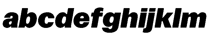Focal Maxi Black Italic FONT