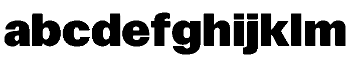 Focal Maxi Black FONT