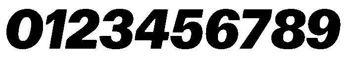 Focal Maxi Extrabold Italic Font OTHER CHARS