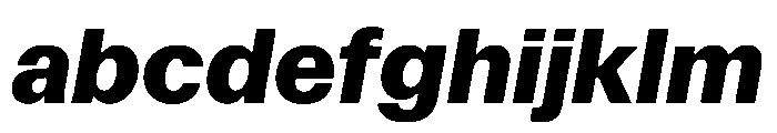 Focal Maxi Extrabold Italic FONT