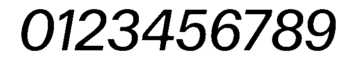Focal Maxi Regular Italic Font OTHER CHARS