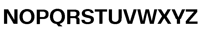 Font 1005 Font UPPERCASE
