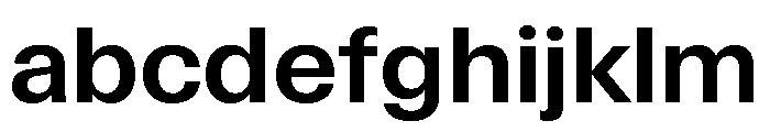 Font 1005 FONT