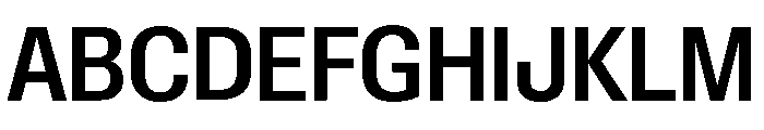 Font 1023 Font UPPERCASE