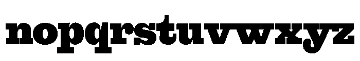 Font 1118 Font LOWERCASE