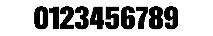 Font 1307 Font OTHER CHARS