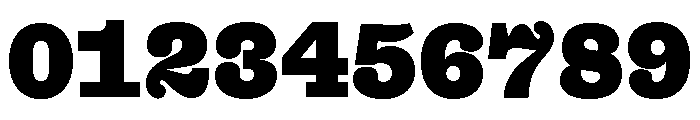 Font 1332 Font OTHER CHARS